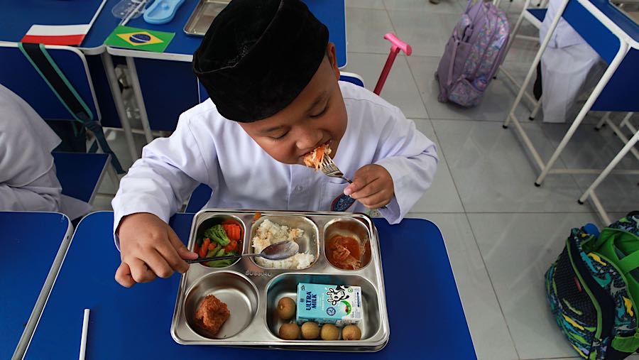 Menggali Potensi Kantin Sekolah Jadi Dapur Program Makan Bergizi Gratis: Kajian Pemerintah dan BGN