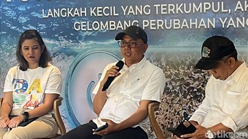 Direktur Jenderal Pengelolaan Kelautan KKP A Koswara/Foto: Aulia Damayanti/detikcom