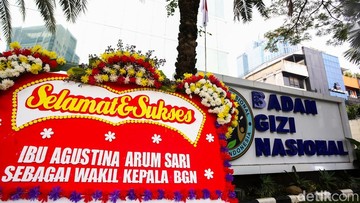 Wakil Kepala Badan Gizi Nasional (BGN) Agustina Arumsari.Foto: Ari Saputra/detikFoto