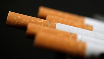 Pembatasan Kandungan Tar Rokok Ancam Hilangnya Potensi Ekonomi Rp700 Triliun, Kemenperin Angkat Bicara