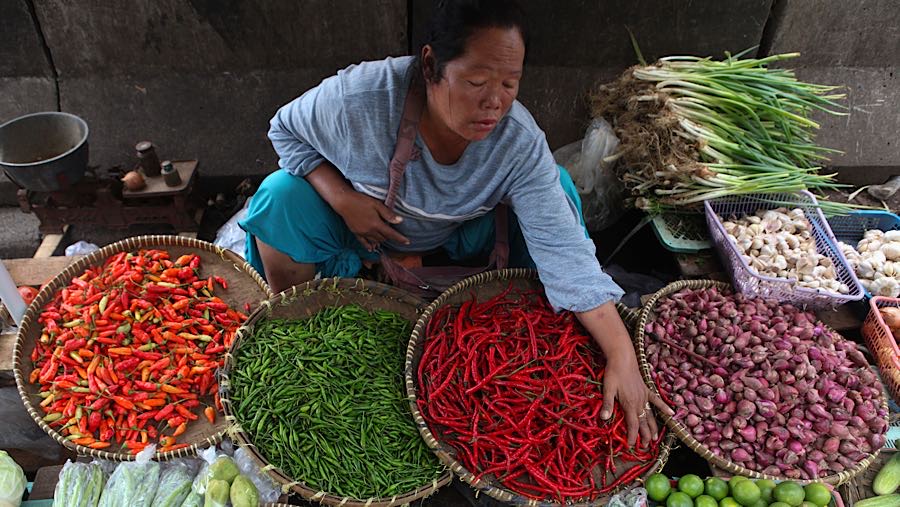 Fluktuasi Harga Pangan Nasional: Cabai Rawit Merah Bertahan di Puncak Meski Ada Penurunan Lainnya