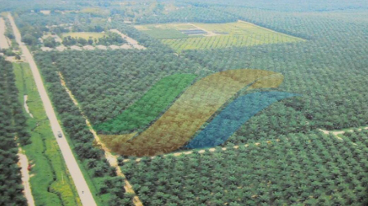 PTPN III Siapkan Amunisi Investasi Raksasa Rp140 Triliun untuk Penguatan Ketahanan Pangan dan Energi Hijau Nasional